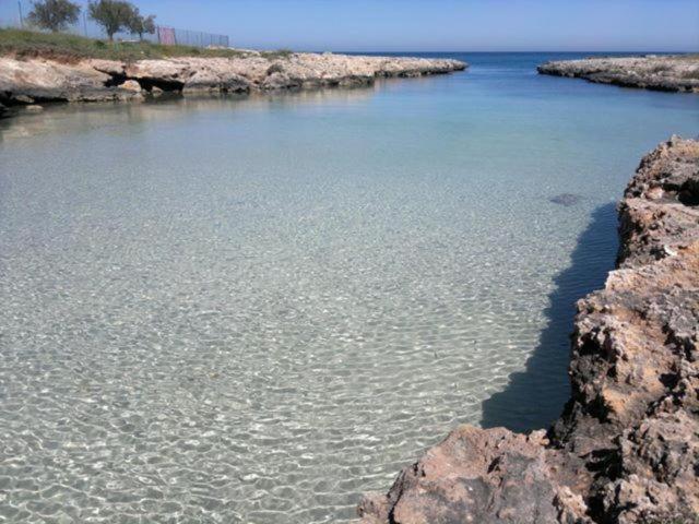 Appartamento Palazzo Antonelli Monopoli Eksteriør billede